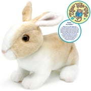 Ridley the Rabbit | 11 Inch Realistic Stuffed Animal Plush Bunny | By Tiger Tale Toys