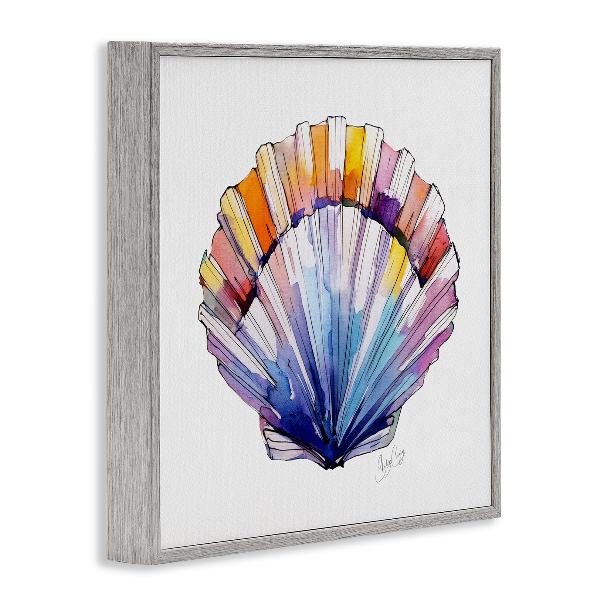 Stupell Industries Coastal Scallop Watercolor Gray Framed Giclee Art, design by Shelly Craig
