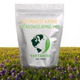 thumbnail image 3 of Earthwise Southwest Native Meadowscaping Mix, 1 lb, Alternative Lawn & Wildflower Seeds, Drought-Tolerant, Covers 1000 Sq. ft., 3 of 10