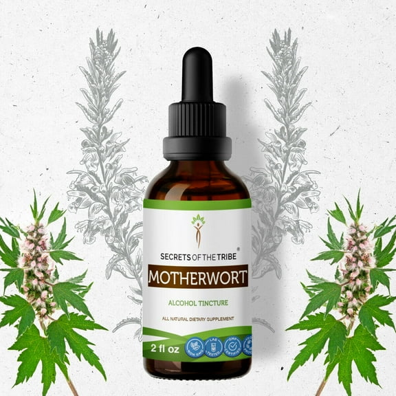 Motherwort Tincture Alcohol Extract, Organic Motherwort Leonurus Cardiaca Cardiovascular System Health / Women's Reproductive Health 2 oz