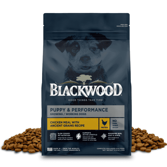 Blackwood Puppy & Performance Chicken Meal with Ancient Grains 4.5 lb