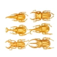 thumbnail image 1 of Wchiuoe Accessoires Durables, Modèle d'Insecte, pour la Journée, 1 of 8