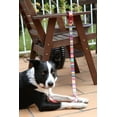 thumbnail image 2 of DOOG - 'Clip It' Neoprene Dog Leash BOLT (Neon) - Extra Large, 2 of 4