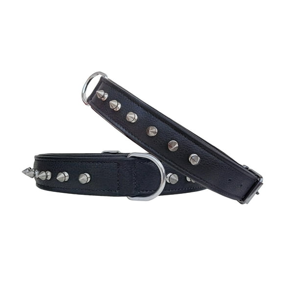 Affilare Heavy Duty Genuine Leather Spiked Dog Collar Padded for Puppies and Big Dogs 10AB306-S