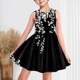 thumbnail image 1 of LOVZFMLL Girls' Summer Short Sleeve Ruffled Lace Round-Neck Embroidery Mesh Princess Bow Skirt, 1 of 9