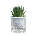 thumbnail image 1 of Pots à Fleurs Auto-Arrosage, Pots de Plantes pour Intérieur, Hydratant Automatique, Pot de Fleurs Transparentes pour les Plantes d'Intérieur et d'Extérieur, 1 of 10