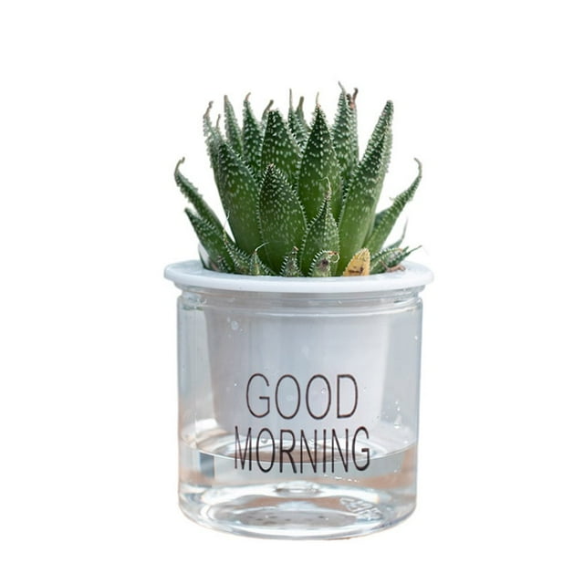 Pots à Fleurs Auto-Arrosage, Pots de Plantes pour Intérieur, Hydratant Automatique, Pot de Fleurs Transparentes pour les Plantes d'Intérieur et d'Extérieur