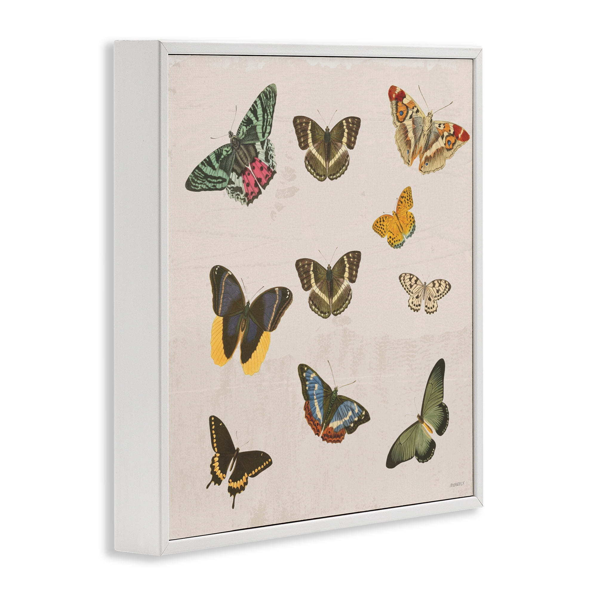 Stupell Industries Antique Butterfly Flight White Framed Giclee Art, design by Dan Meneely