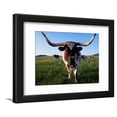 thumbnail image 1 of Texas Longhorn Cattle Framed Print Wall Art by John Elk III Sold by Art.Com, 1 of 5