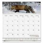 House of Doolittle Wildlife Wall Calendar 3731