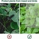 thumbnail image 2 of 5 Packs Of Garden Plant Protection Nets with Rope, for Vegetable, 2 of 5