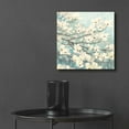 thumbnail image 6 of Epic Art 'Dogwood Blossoms' by James Wiens, Acrylic Glass Wall Art, 12"x12", 6 of 8