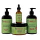 thumbnail image 2 of Aceite esencial para el cuidado del cabello, aceite esencial de romero, menta, aceite esencial para el cuidado del cabello fuerte, miel americana, reparación suave, hidratante, venta al por mayor, 2 of 2