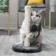 thumbnail image 2 of Marco de escalada para gatos Sisal tablero para rascar gatos poste rascador para gatos rasc Abanopi Rascador, 2 of 7