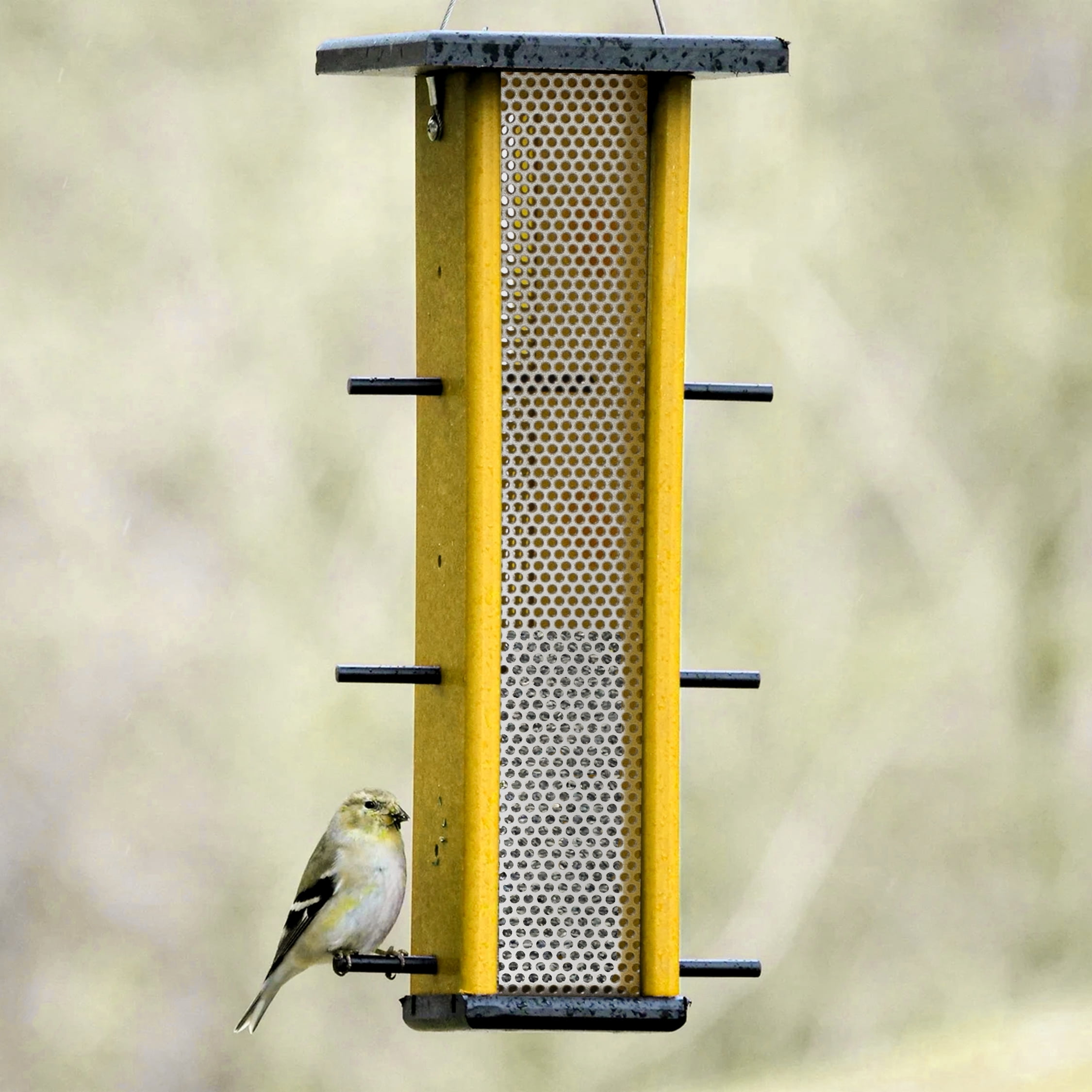 Outdoor Leisure Products Model GM6-1BKY Finch Bird Feeder Made with High Density Poly Resin Finished in Yellow and Black