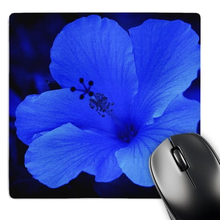 3dRose  Big Blue Hibiscus  MousePad price history on PriceWatchPro