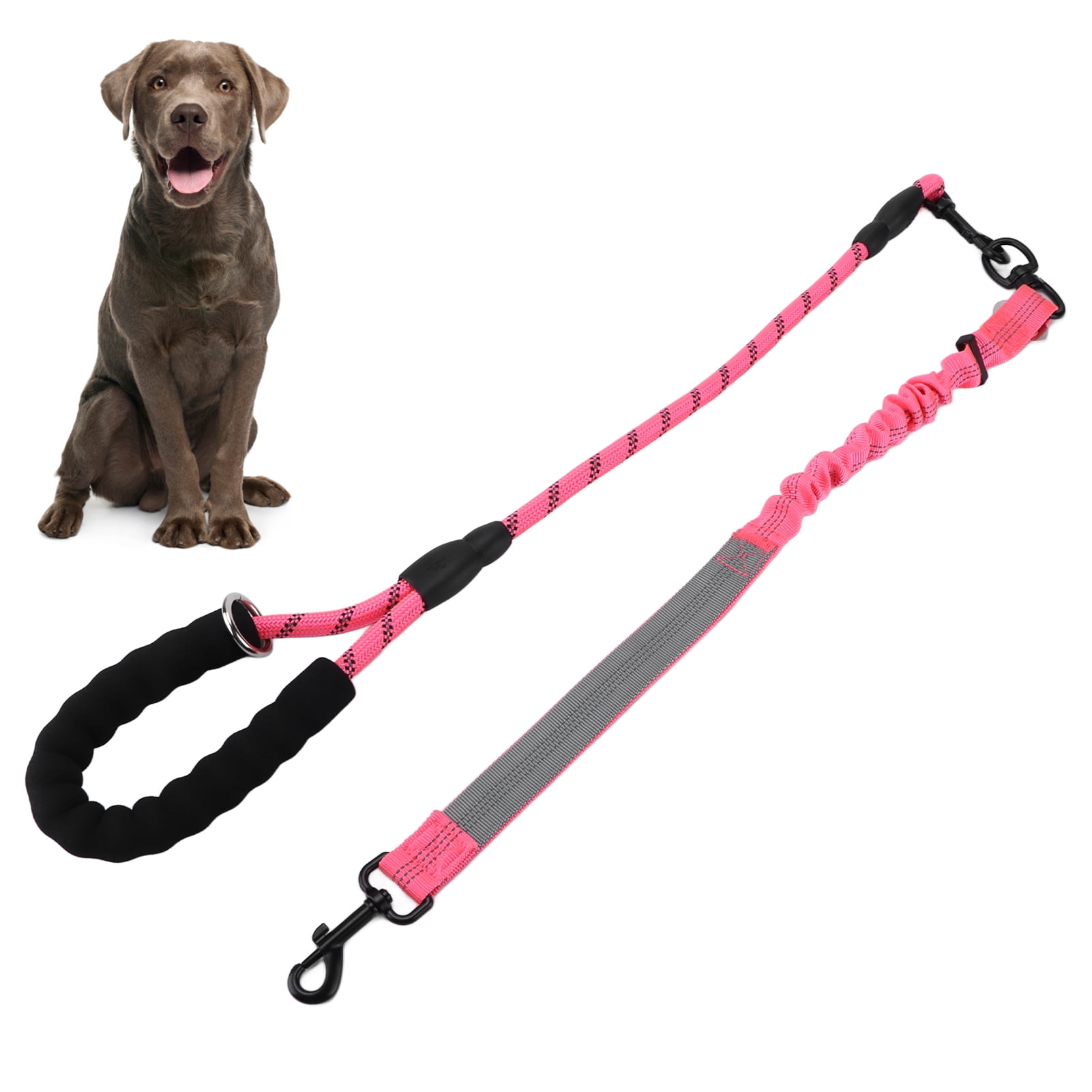 Dog leash supplies sales
