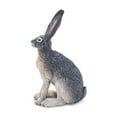 thumbnail image 7 of Safari Ltd. American Desert Hare Figurine - Lifelike 3" Model Figure - Educational Toy for Boys, Girls, and Kids Ages 3+, 7 of 7