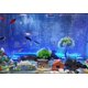 thumbnail image 5 of Liquidación de luces LED para acuario Begine, control remoto colorido que cambia de color, luz LED RGB sumergible para acuario, 1 luz LED para acuario, 5 of 8