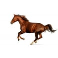 thumbnail image 2 of Gallop H)orse Wall Decal Sticker by Wallmonkeys Vinyl Peel and Stick Graphic (36 in W x 24 in H), 2 of 4