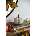 thumbnail image 4 of 5.2x5.2x6"H Fabric Weighted Pumpkin Natural/Cream Pattern, Set of 3, 4 of 10