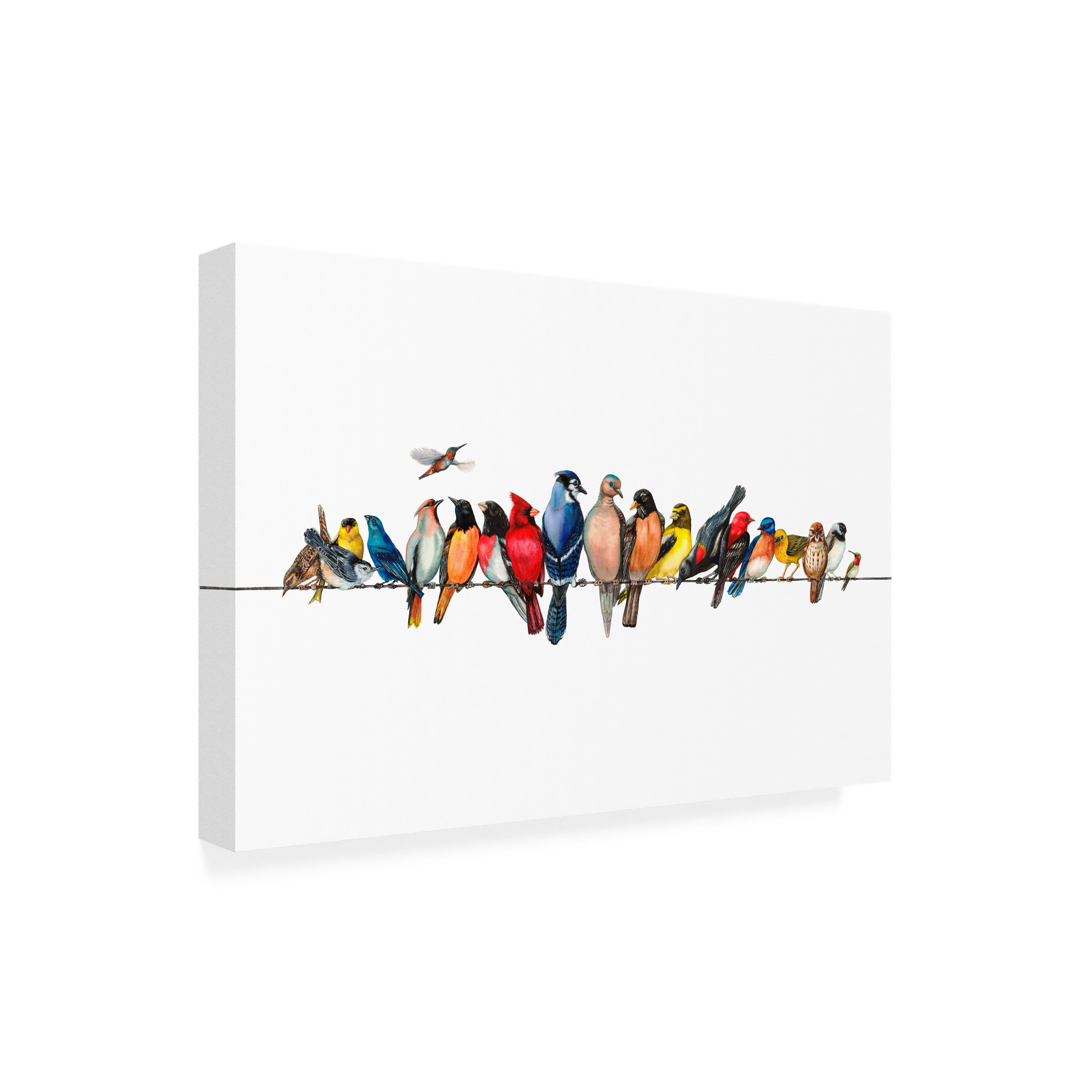 Wendy Russell 'Large Bird Menagerie Ii' Outdoor All-Weather Wall Decor