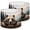 Color 2, variant on Linen Drum Lamp Shades Forest Rustic Wildlife Animals Hunting Mountain Country 13" x 13" x 10" Lampshade for Table Lamps Floor Lamps Lamp Shade Replacement Easy Assembly Required