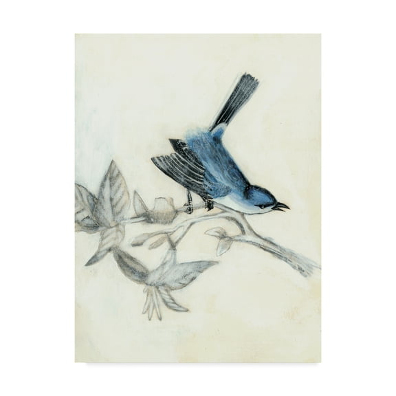 Trademark Fine Art 'UA CHBR Rustic Aviary III' Canvas Art by Naomi McCavitt