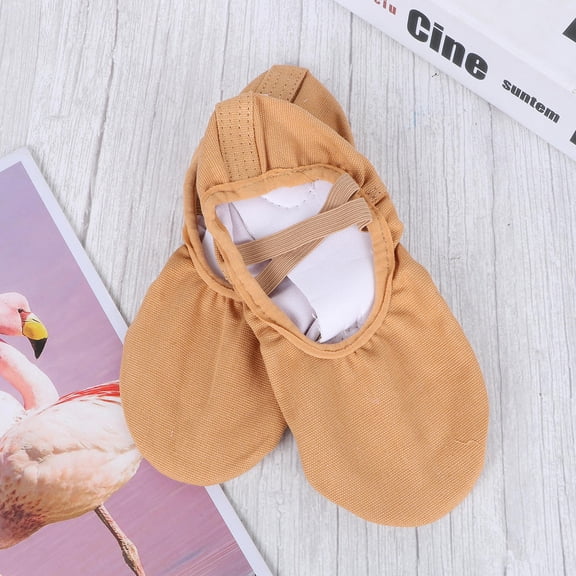 LOLIPPYY Women's Ballet and Dance Shoes, 1 Pair Breathable Camel Color for Ballroom and Dance Practice