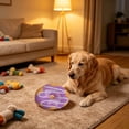 thumbnail image 7 of PoyoKee Cat Toys for Indoor Cats, Donut Shaped Squeaky Puppy Dog Toys to Keep Them Busy, Soft Crystal Fabric & with Squeaker for Small Dogs, Purple, 7 of 7