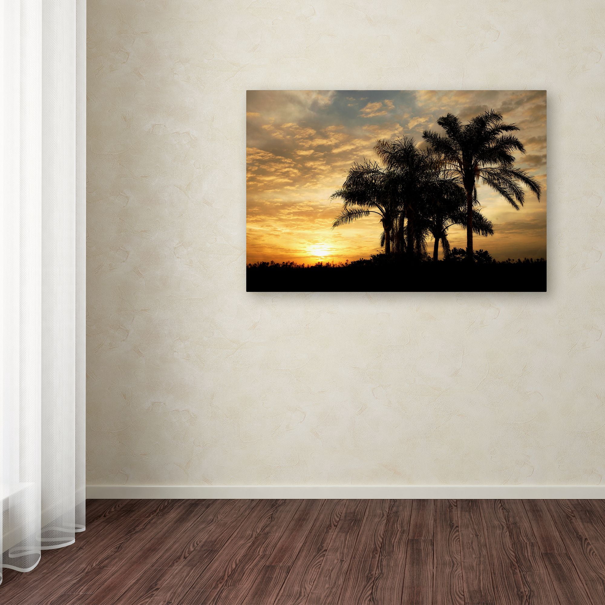 Trademark Fine Art 'Everglades Sunrise' Canvas Art by Mike Jones Photo
