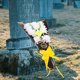 thumbnail image 4 of IDEANATEGRATE 2Ud Ramos Artificiales Para Funeraria Con Y Reutilizable, 4 of 6