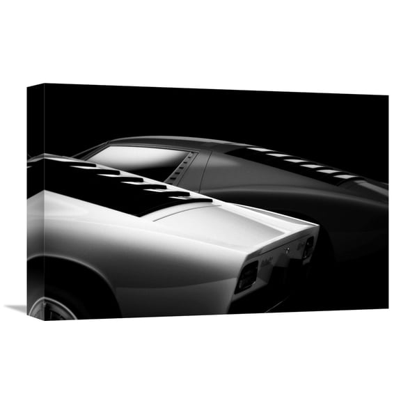 Global Gallery Holger Droste,'2 Miura' Stretched Canvas Artwork
