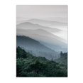 thumbnail image 3 of Póster de arte de pared con niebla, bosque y montaña de Escandinavia, impresión artística de paisaje natural, citas, pintura en lienzo, imágenes modernas, decoración del hogar, 3 of 5