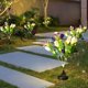 thumbnail image 5 of Lámpara solar para exteriores con 5 tulipanes, resistente al agua, con estaca, decorativa de plástico, para jardín y patio., 5 of 6