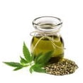 thumbnail image 3 of 2 Pack Flex Hemp Seed Oil Shampoo Vegan Volumizing 15 FL OZ (443 ml) Each, 3 of 5
