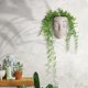 thumbnail image 5 of Maceta de pared - Macetas de cara únicas Macetas de cabeza - Regalos de plantas para amantes de las plantas de interior - Regalo de plantas suculentas - Beige, 5 of 5