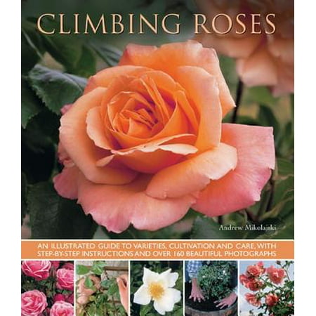Climbing Roses (Best Climbing Roses For Pergolas)