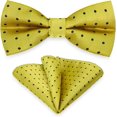 thumbnail image 1 of GFDYREE Boy Polka Dot Adjustable Bow Tie, Pre Bowtie for Kids CLJ01, 1 of 6