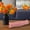 B, variant on Pipe Cleaners Craft,100PC,Fluffy Craft Pipe Cleaners,Multiple Colors Available,Beginner Friendly,for Arts and Crafts,Perfect for Flowers,Animals and Decorations