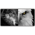 thumbnail image 1 of Half Wolf Half Eagle Photo License Plate, 1 of 1