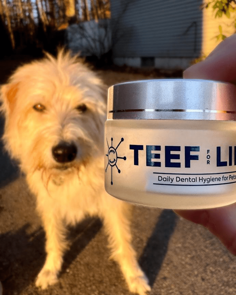 REFILL PACKETS - Protektin42 - Prebiotic Dental Powder for Dogs, Daily Dental Care, Clinically-Proven Formula Naturally Freshens Breath and Supports Dental Health, 180 Servings