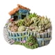 thumbnail image 1 of Plantas Creativas, Flores De Resina Pequeñas, Soportes Para Macetas De Plantas Suculentas, Diseño De Jardín Colgante Con Casa Dulce Guardurnaity HA042513-02, 1 of 6