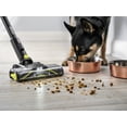 thumbnail image 5 of Aspiradora vertical inalámbrica RYOBI 18V ONE+ HP para mascotas con batería de 4,0 Ah y cargador, 5 of 5