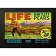 thumbnail image 2 of Retrolabel 18x13 Black Modern Framed Museum Art Print Titled - Life Brand Bartlett Pears, 2 of 5