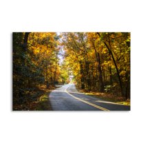 Gango Home Decor Contemporary Walnut Grove Road II by Alan Hausenflock (Printed on Paper); One 36x24in Fine Art Paper Giclee Print