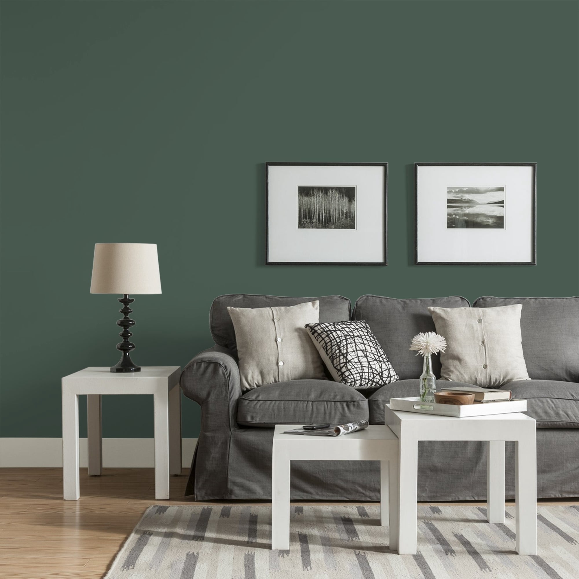 Glidden Fundamentals Dark Green Velvet Eggshell Interior Paint and Primer, 1 Gallon