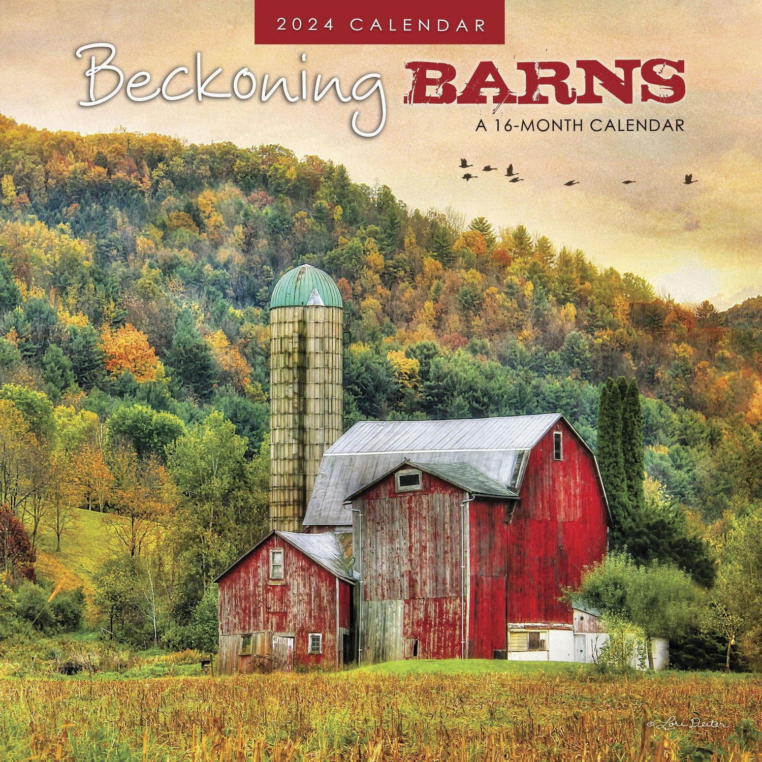 Hopper Studios Beckoning Barns 2024 12x24 Inch Square Wall Calendar, 9781773727943