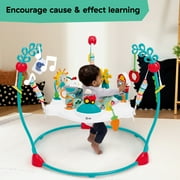 Baby Einstein Farm Explorers Jump & Learn Barnyard 2-in-1 Jumper, Ages 6-12 Months