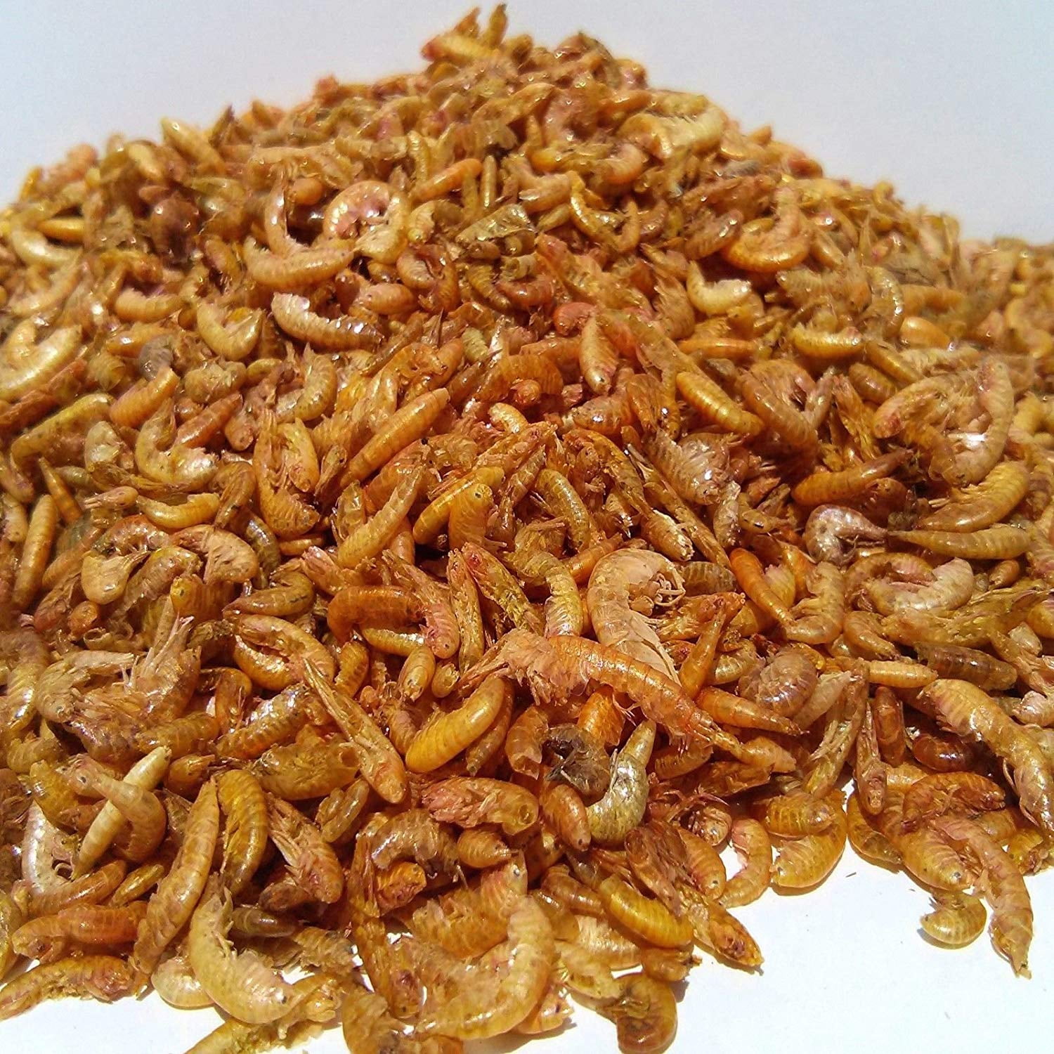 Aquatic Foods Freeze Dried Gammarus, Great for smaller Tropicals, Marines, small Birds, Reptiles - 2-lbs